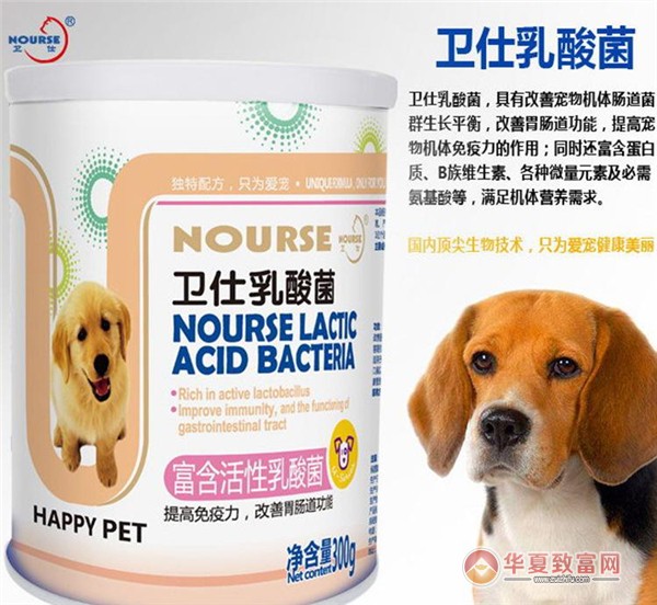 卫仕宠物加盟